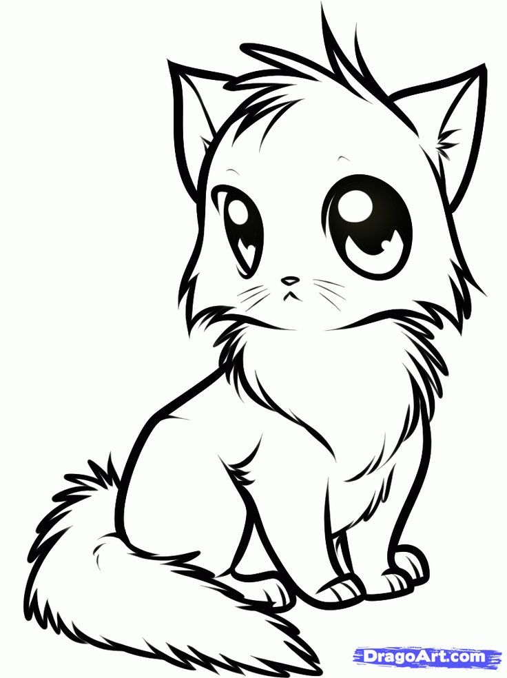 100+ Cute Cat Coloring Pages: Irresistible Designs to Print 14