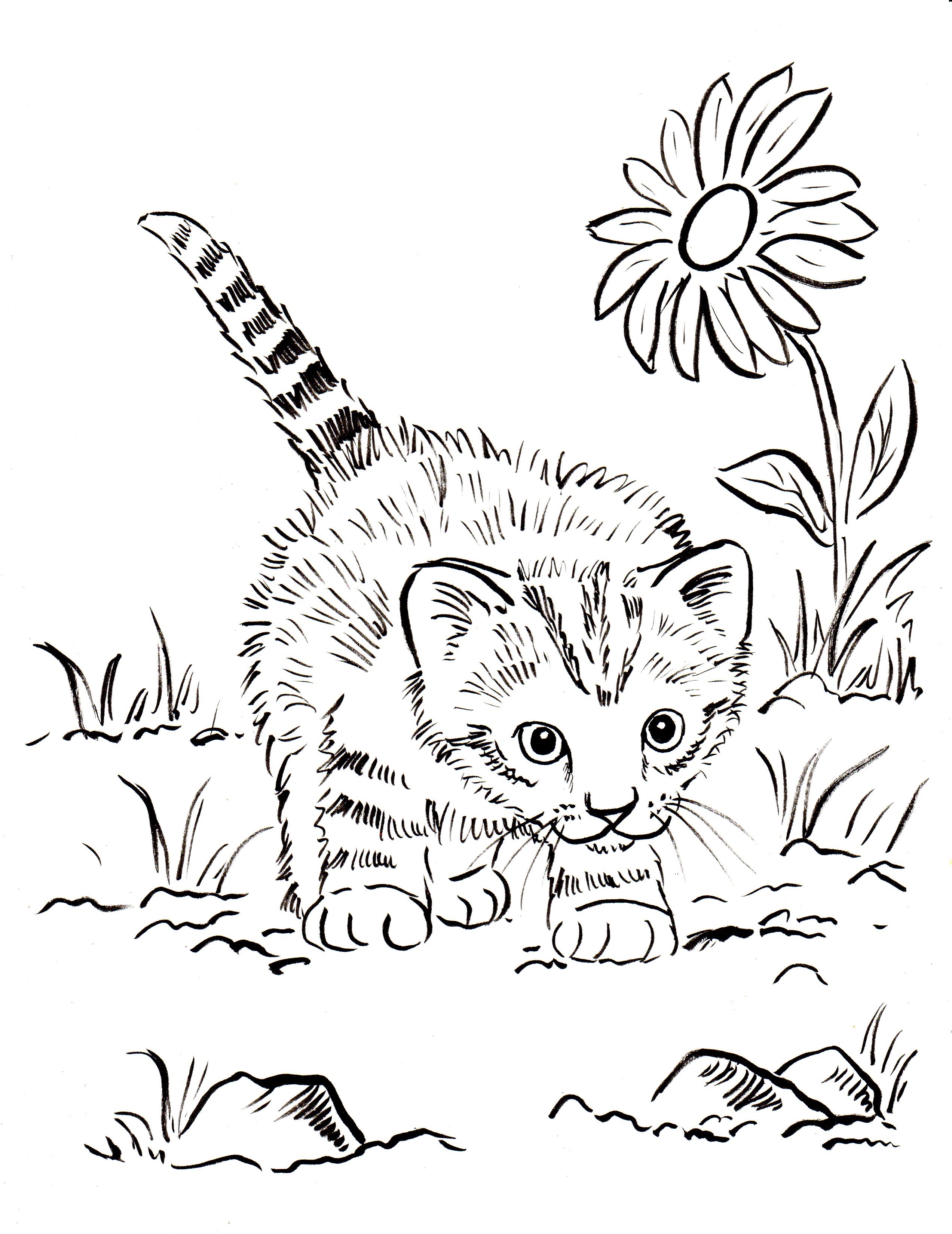 100+ Cute Cat Coloring Pages: Irresistible Designs to Print 15