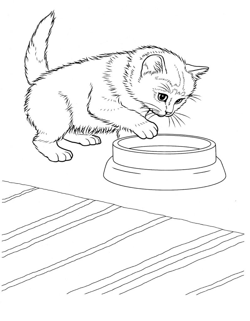 100+ Cute Cat Coloring Pages: Irresistible Designs to Print 64