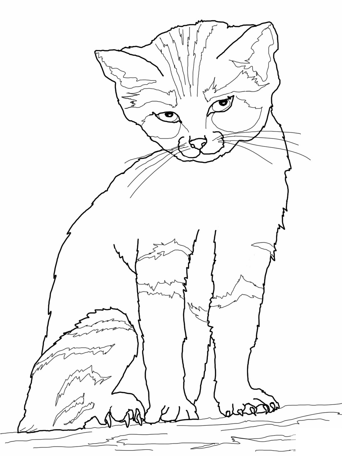 100+ Cute Cat Coloring Pages: Irresistible Designs to Print 65