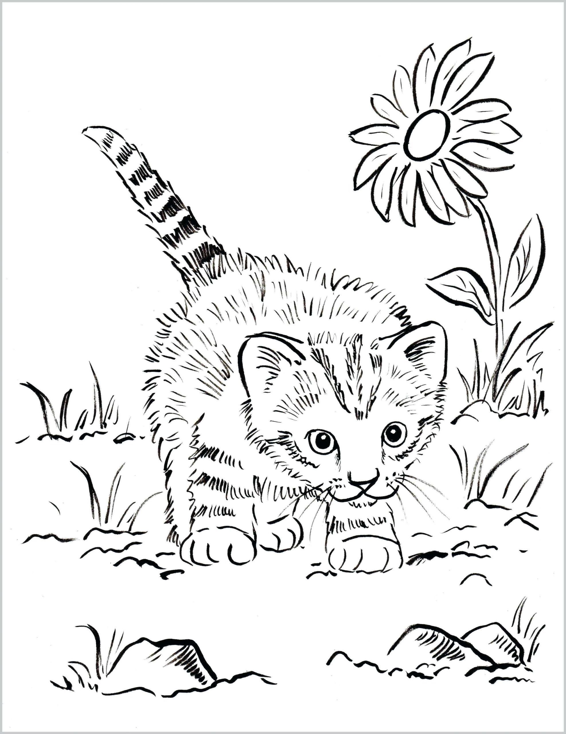 100+ Cute Cat Coloring Pages: Irresistible Designs to Print 88