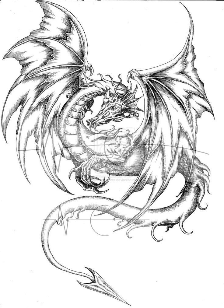 100+ Printable Realistic Dragon Coloring Pages Part 100