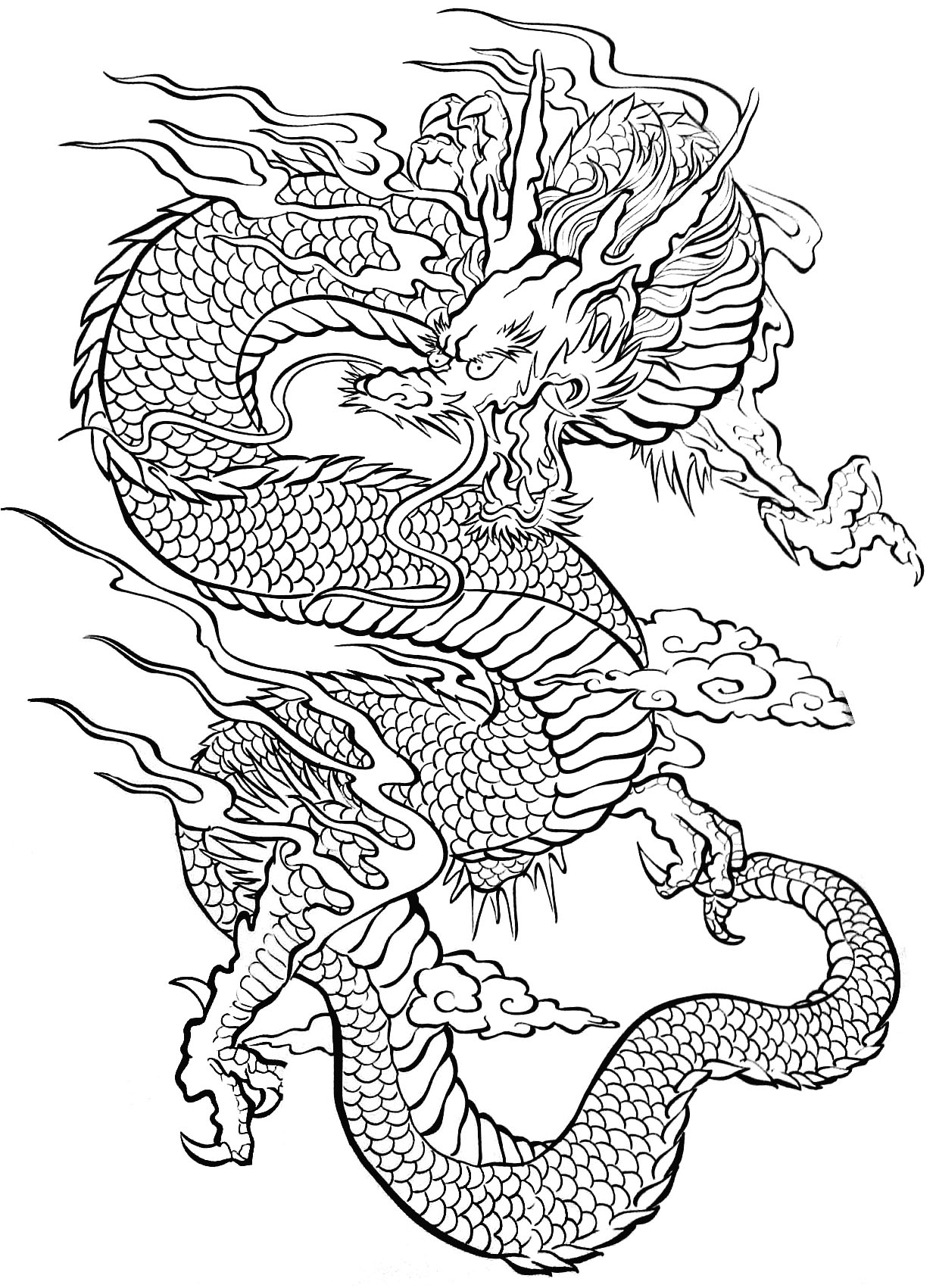 100+ Printable Realistic Dragon Coloring Pages Part 112