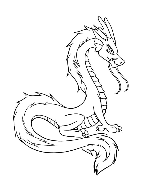 100+ Printable Realistic Dragon Coloring Pages Part 74