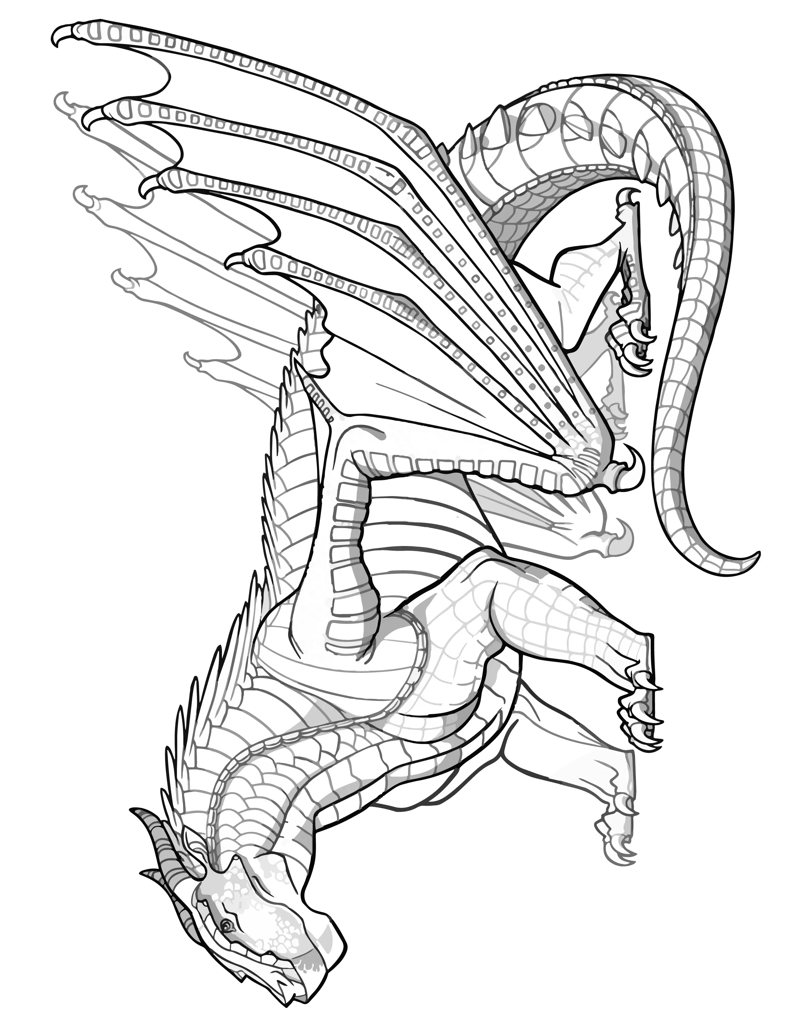 100+ Printable Realistic Dragon Coloring Pages Part 88