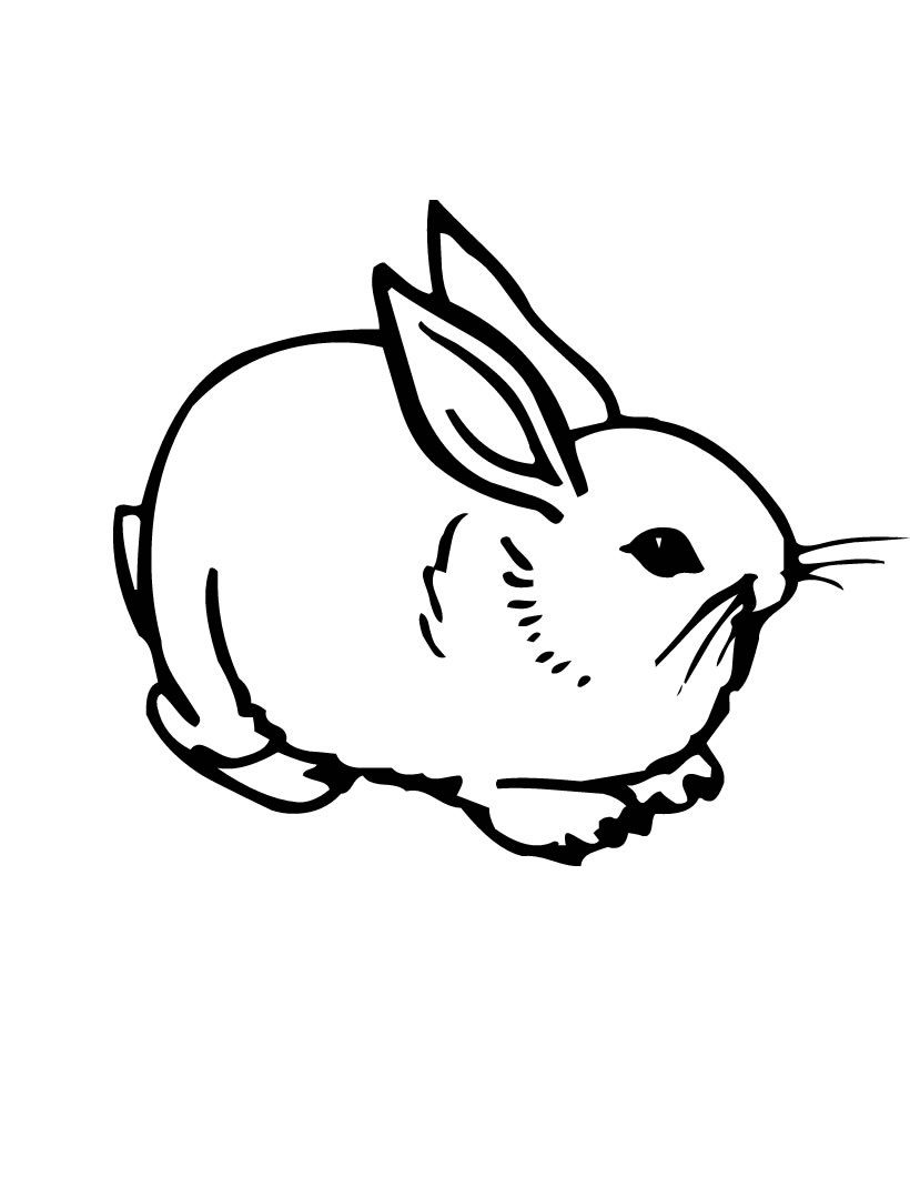 170+ Bunny Coloring Pages: Hop into Fun 109