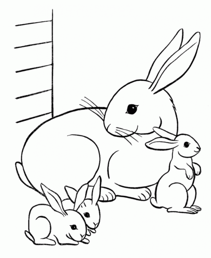 170+ Bunny Coloring Pages: Hop into Fun 171