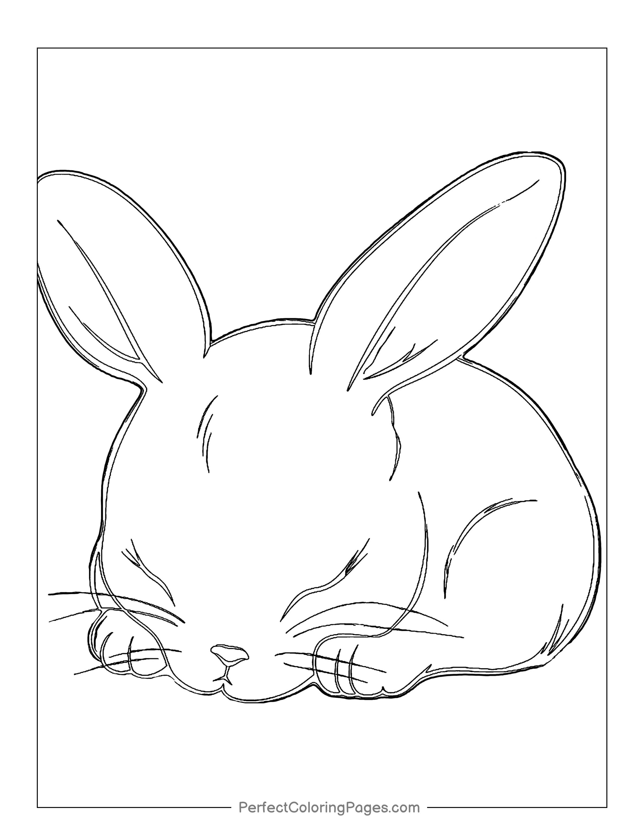 170+ Bunny Coloring Pages: Hop into Fun 175