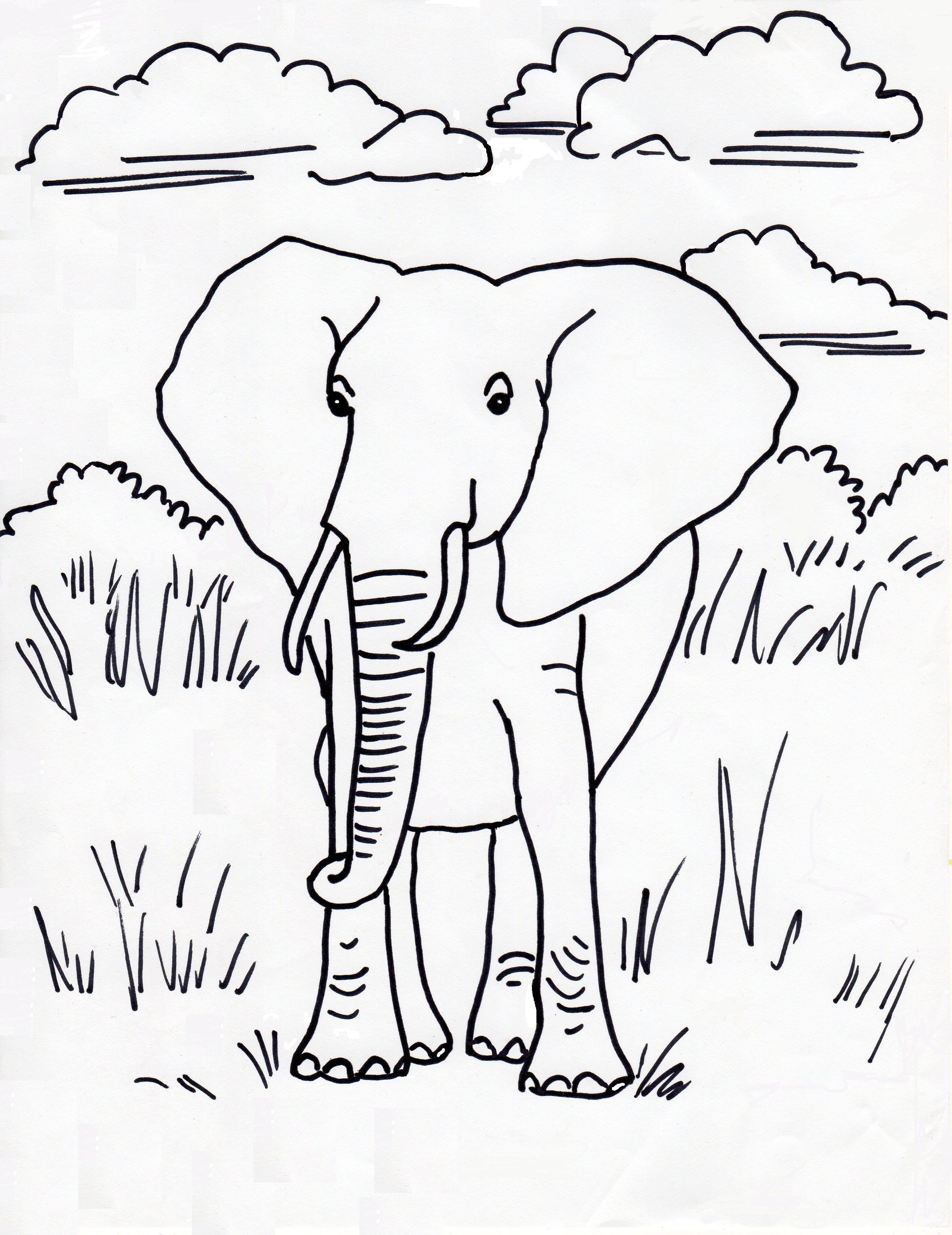 50+ Elephant Coloring Pages for Adults 128