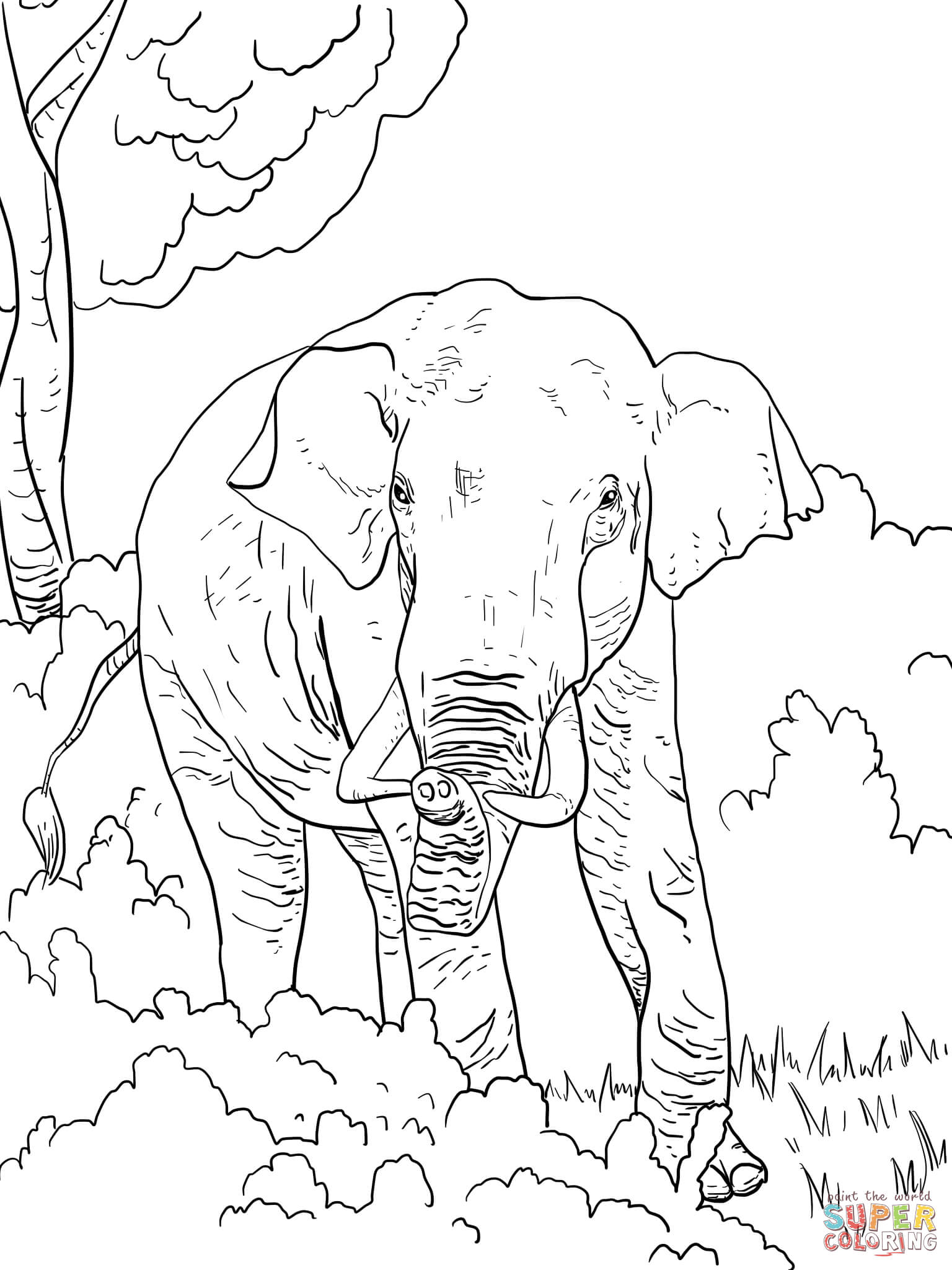 50+ Elephant Coloring Pages for Adults 143