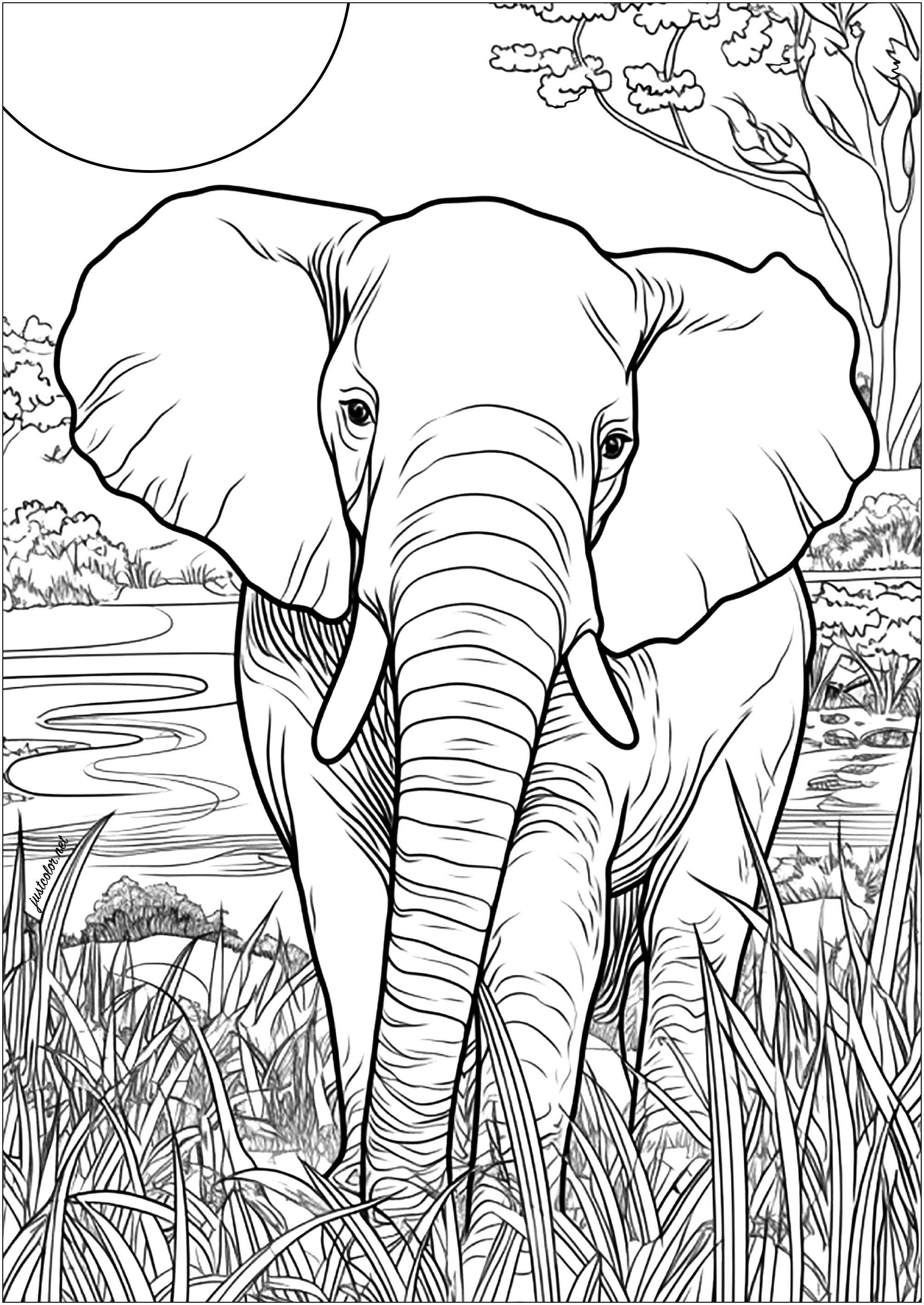 50+ Elephant Coloring Pages for Adults 146