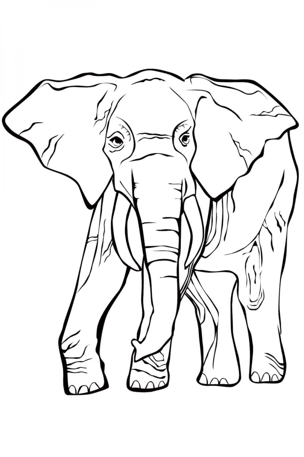 50+ Elephant Coloring Pages for Adults 148