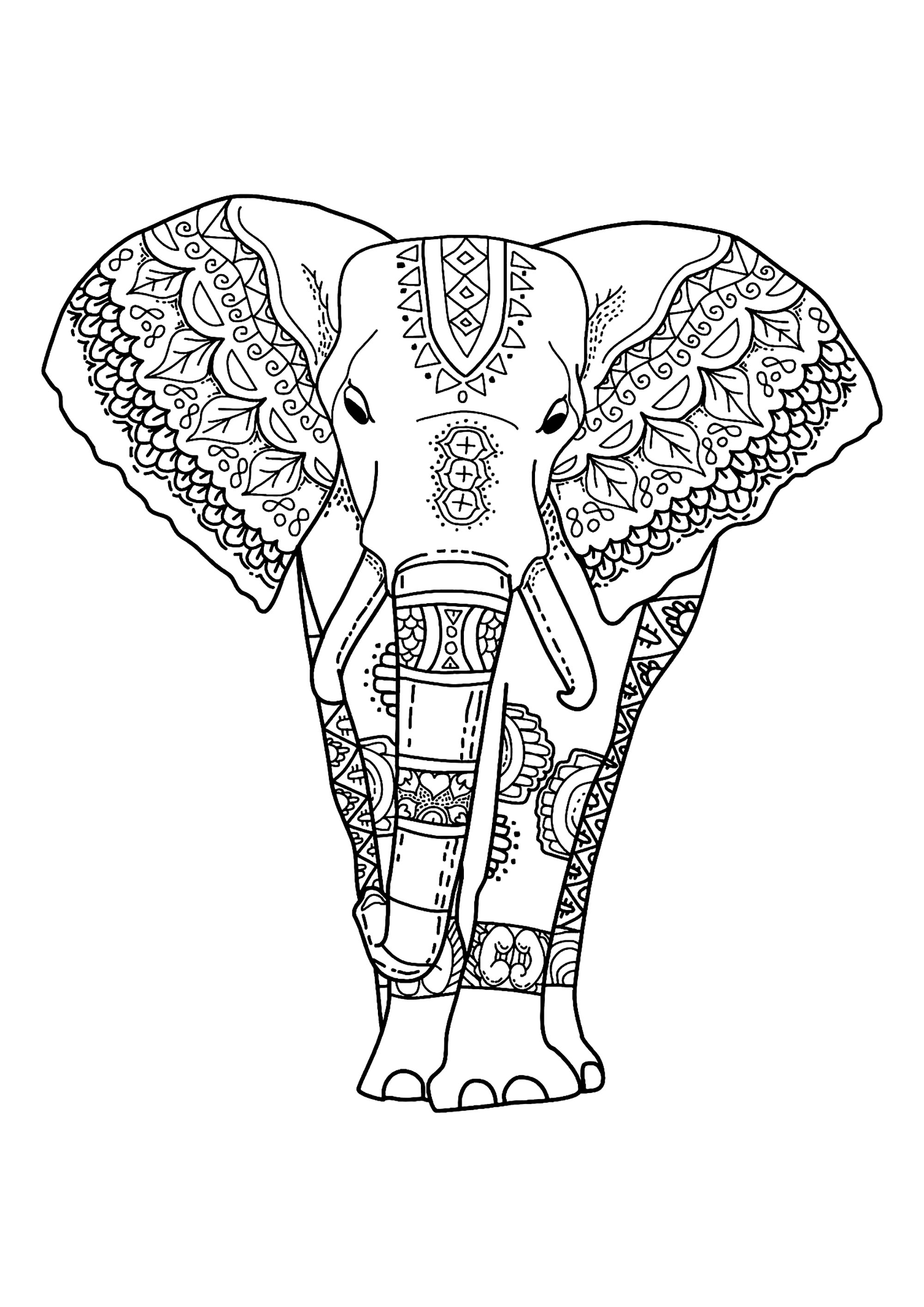 50+ Elephant Coloring Pages for Adults 5