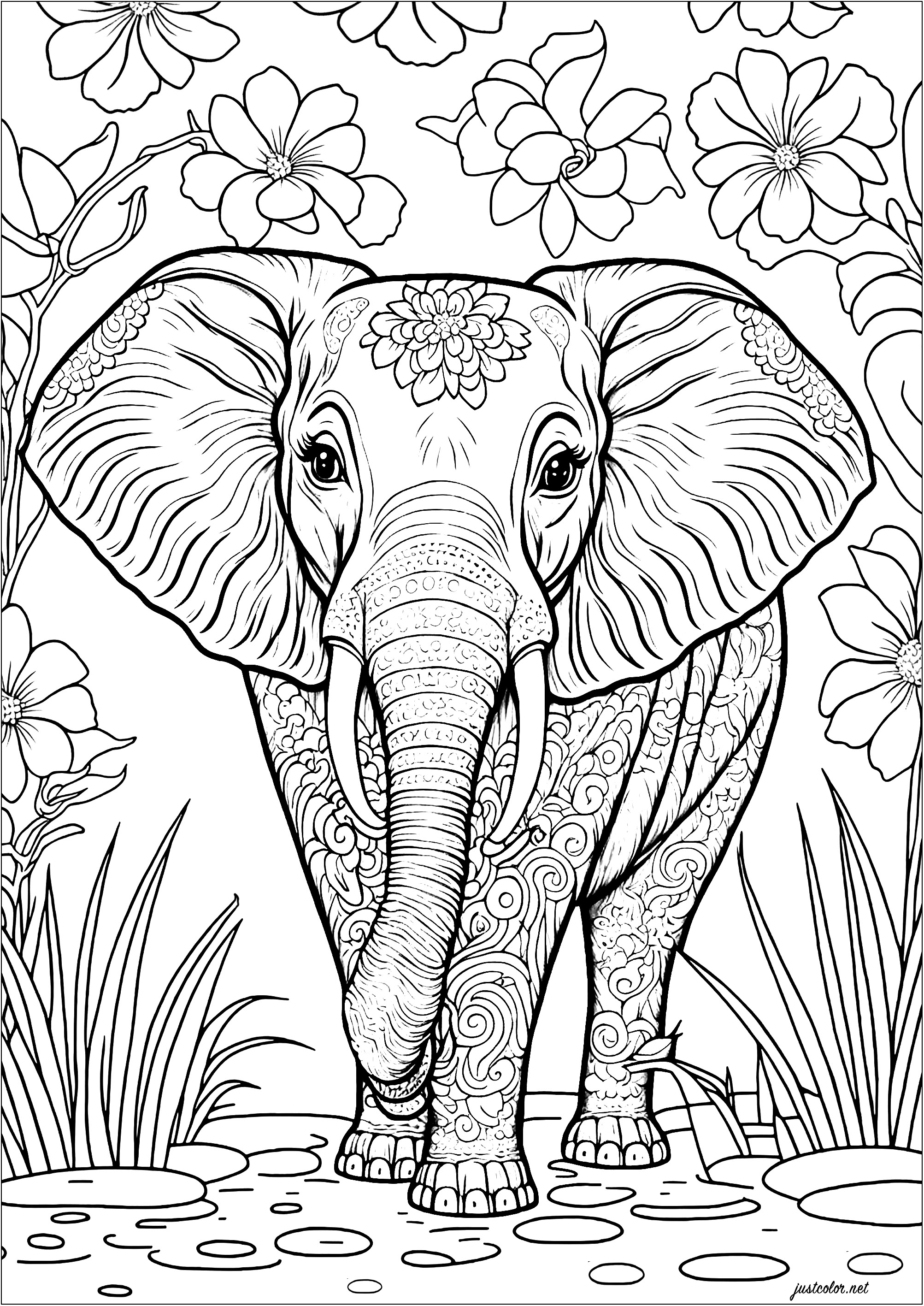 50+ Elephant Coloring Pages for Adults 93