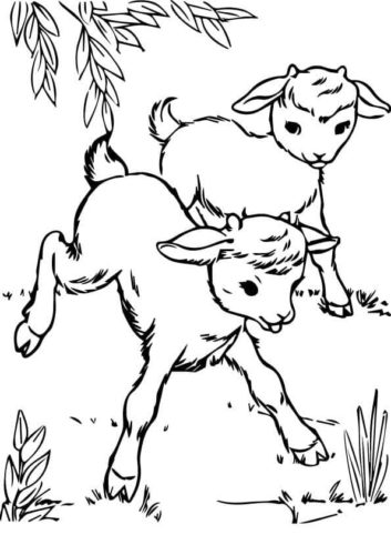 60 Cow Coloring Pages for Kids 111