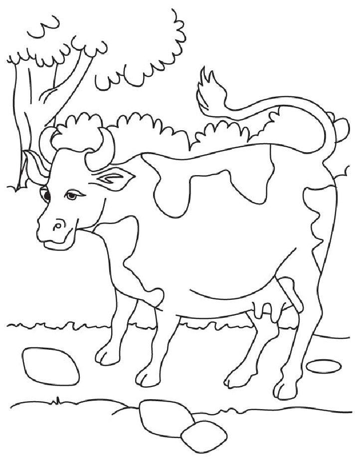 60 Cow Coloring Pages for Kids 116