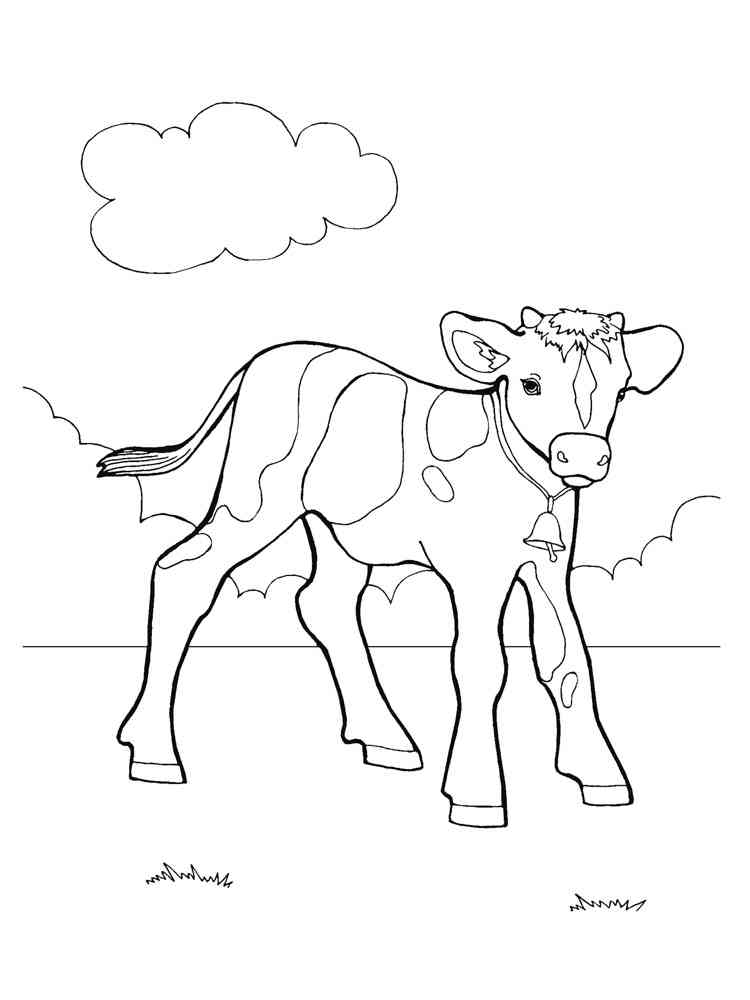 60 Cow Coloring Pages for Kids 117