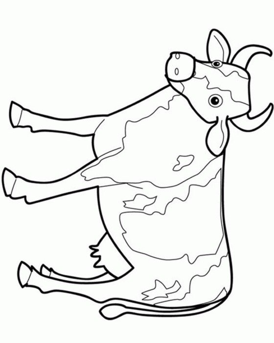 60 Cow Coloring Pages for Kids 13