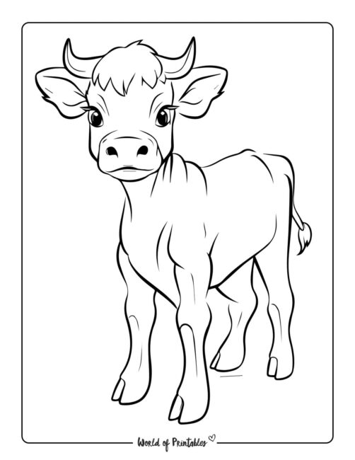 60 Cow Coloring Pages for Kids 180