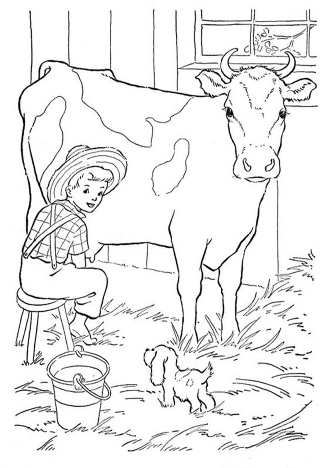 60 Cow Coloring Pages for Kids 20