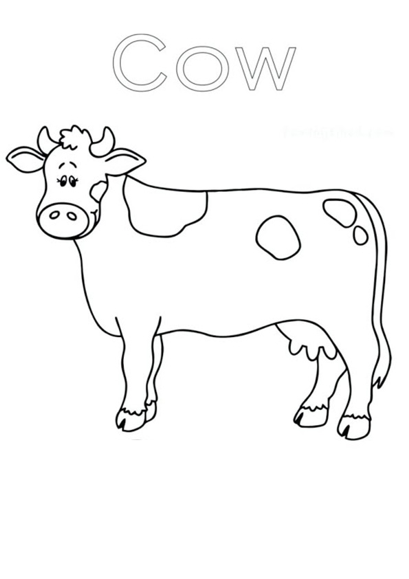 60 Cow Coloring Pages for Kids 21