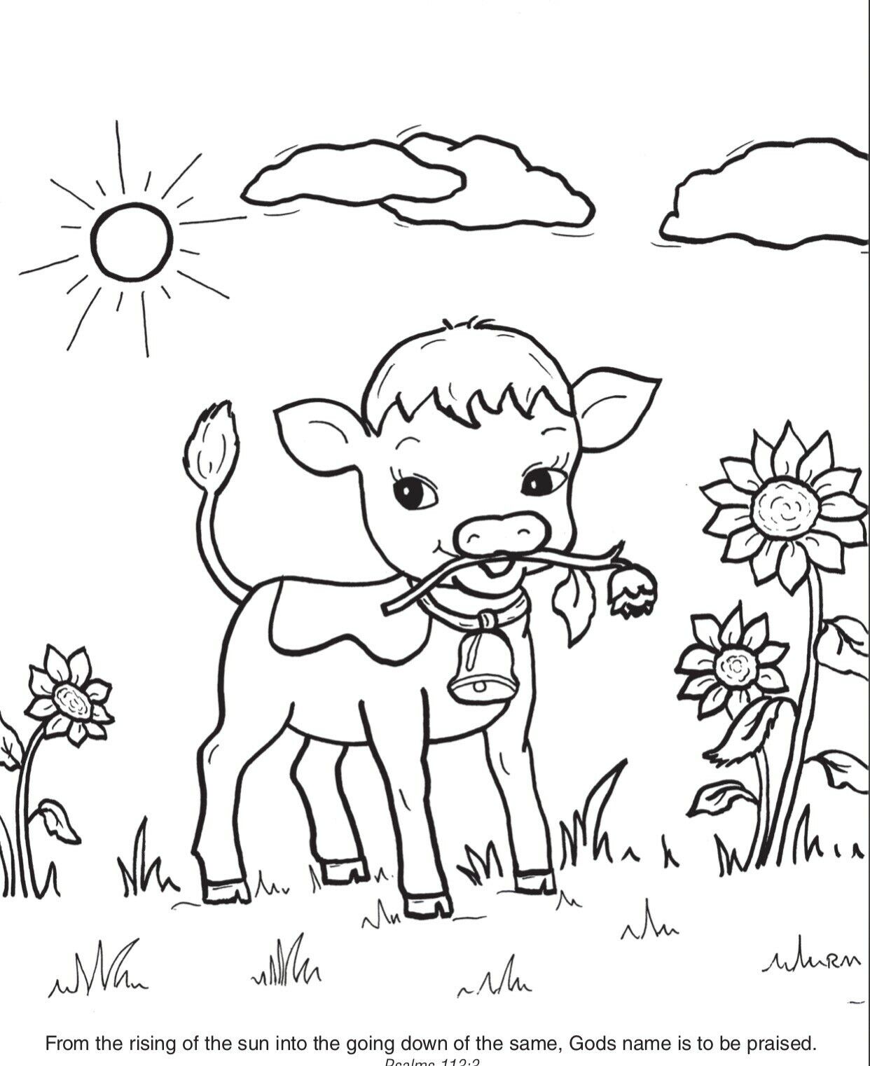 60 Cow Coloring Pages for Kids 28