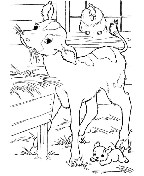 60 Cow Coloring Pages for Kids 34