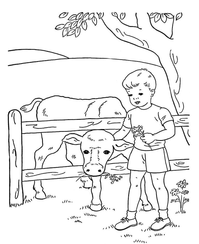 60 Cow Coloring Pages for Kids 62