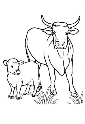 60 Cow Coloring Pages for Kids 66