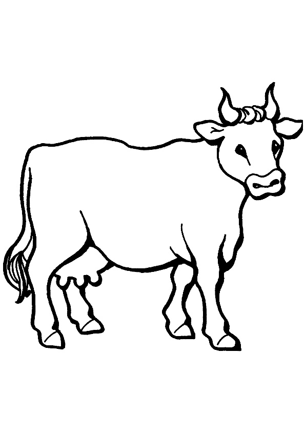 60 Cow Coloring Pages for Kids 74