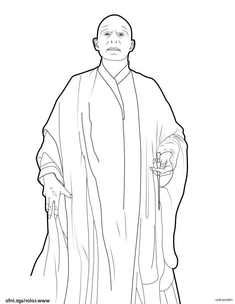 Dark Arts Delight: 100 Lord Voldemort Coloring Pages 91