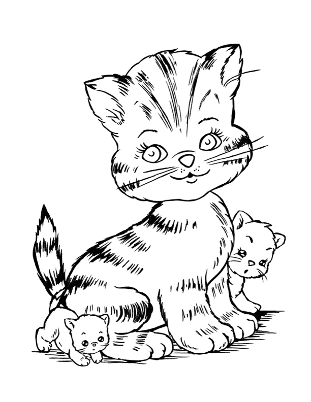 170+ Cute Cat Coloring Pages 111