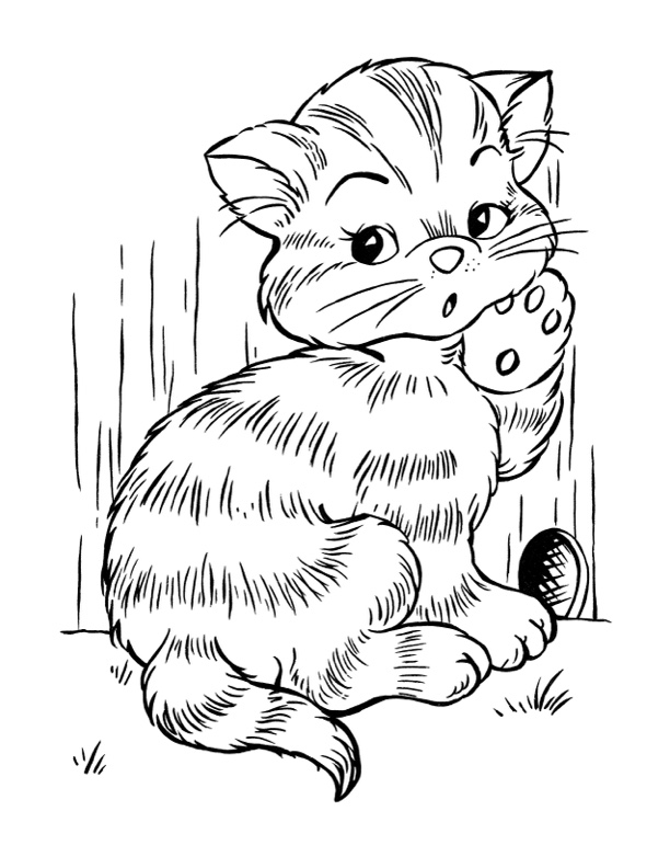 170+ Cute Cat Coloring Pages 112