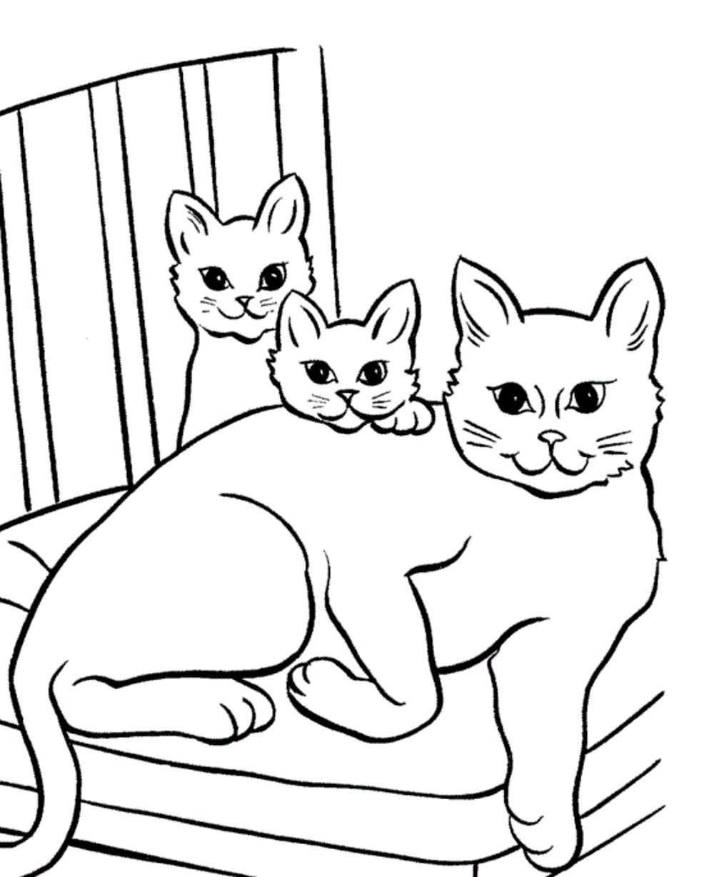 170+ Cute Cat Coloring Pages 46