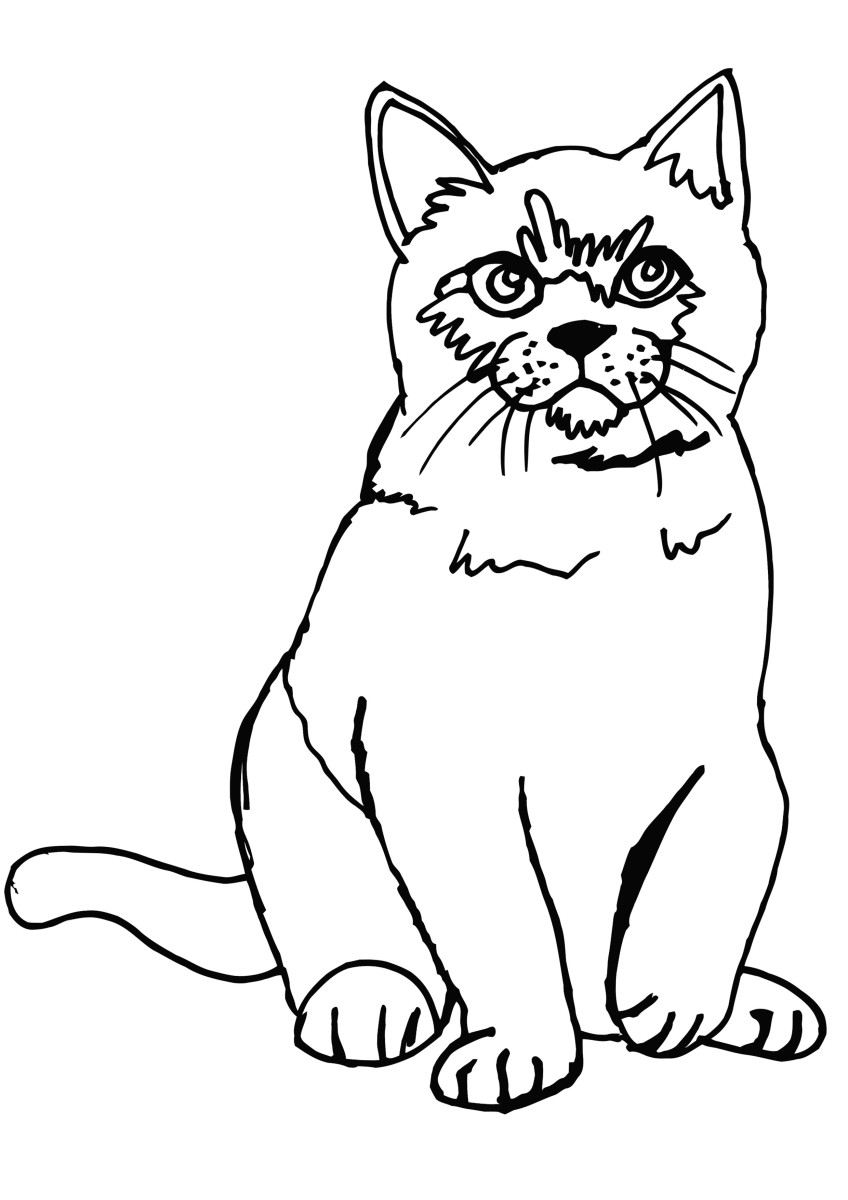 170+ Cute Cat Coloring Pages 48