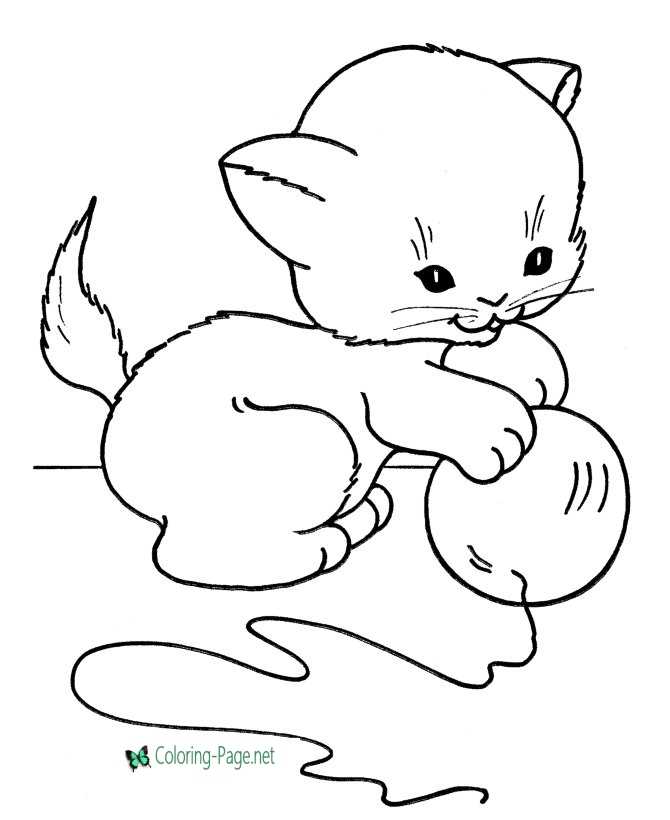 170+ Cute Cat Coloring Pages 96