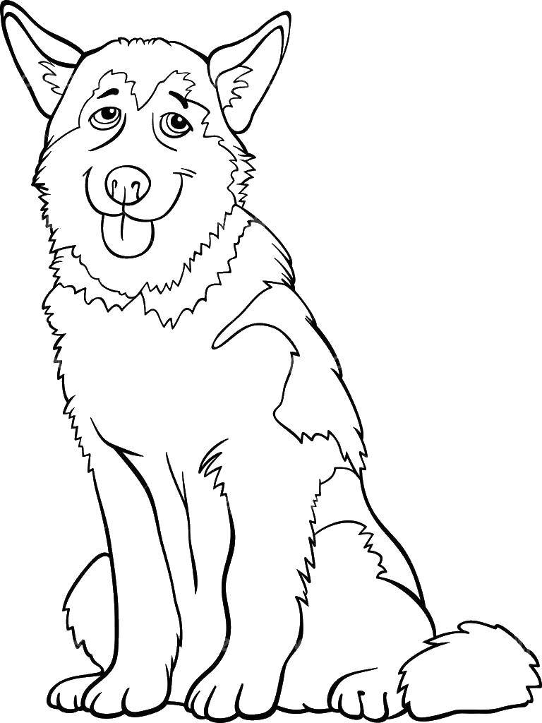 190+ Puppy Dog Coloring Pages Free Printable 198