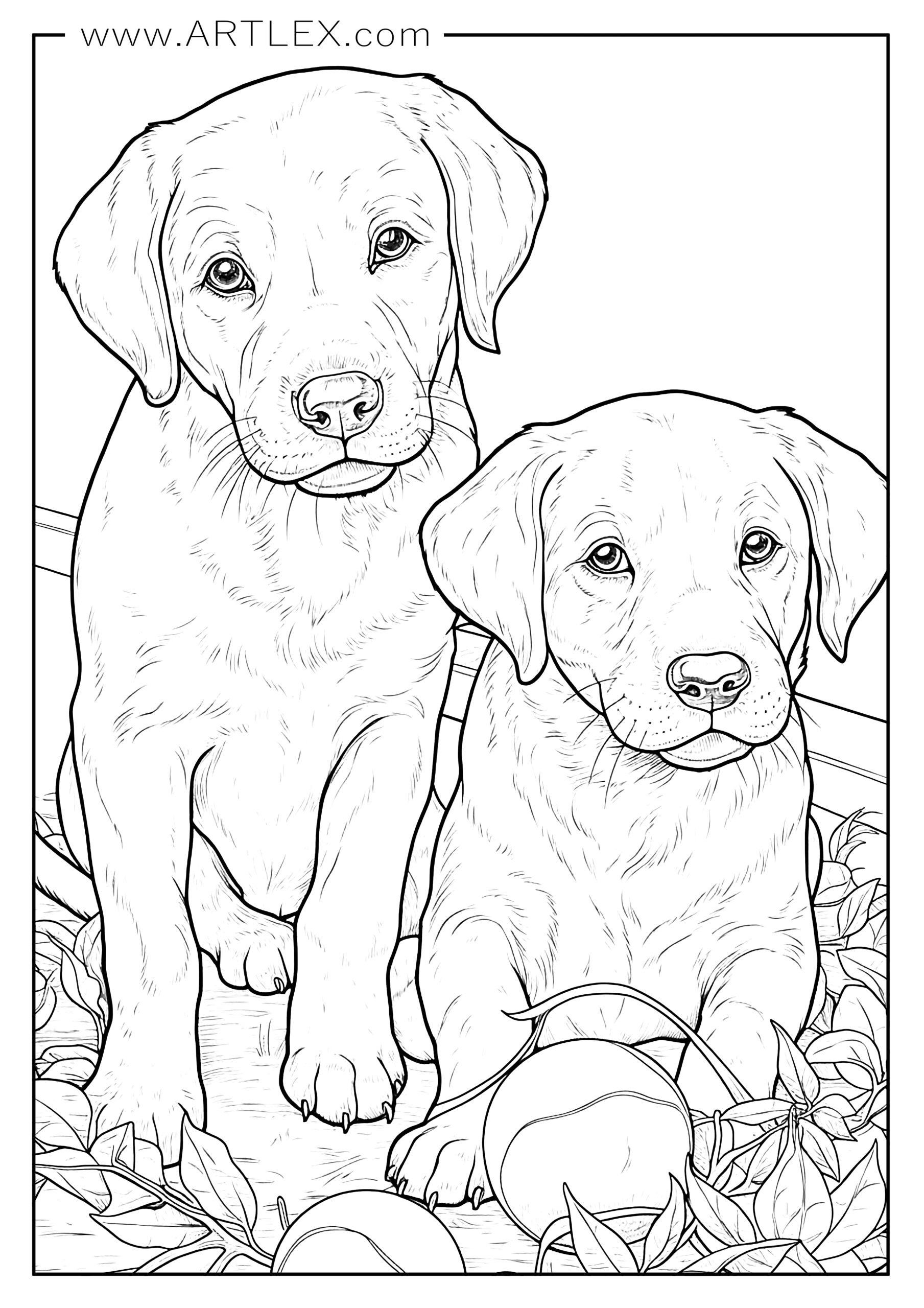 190+ Puppy Dog Coloring Pages Free Printable 37