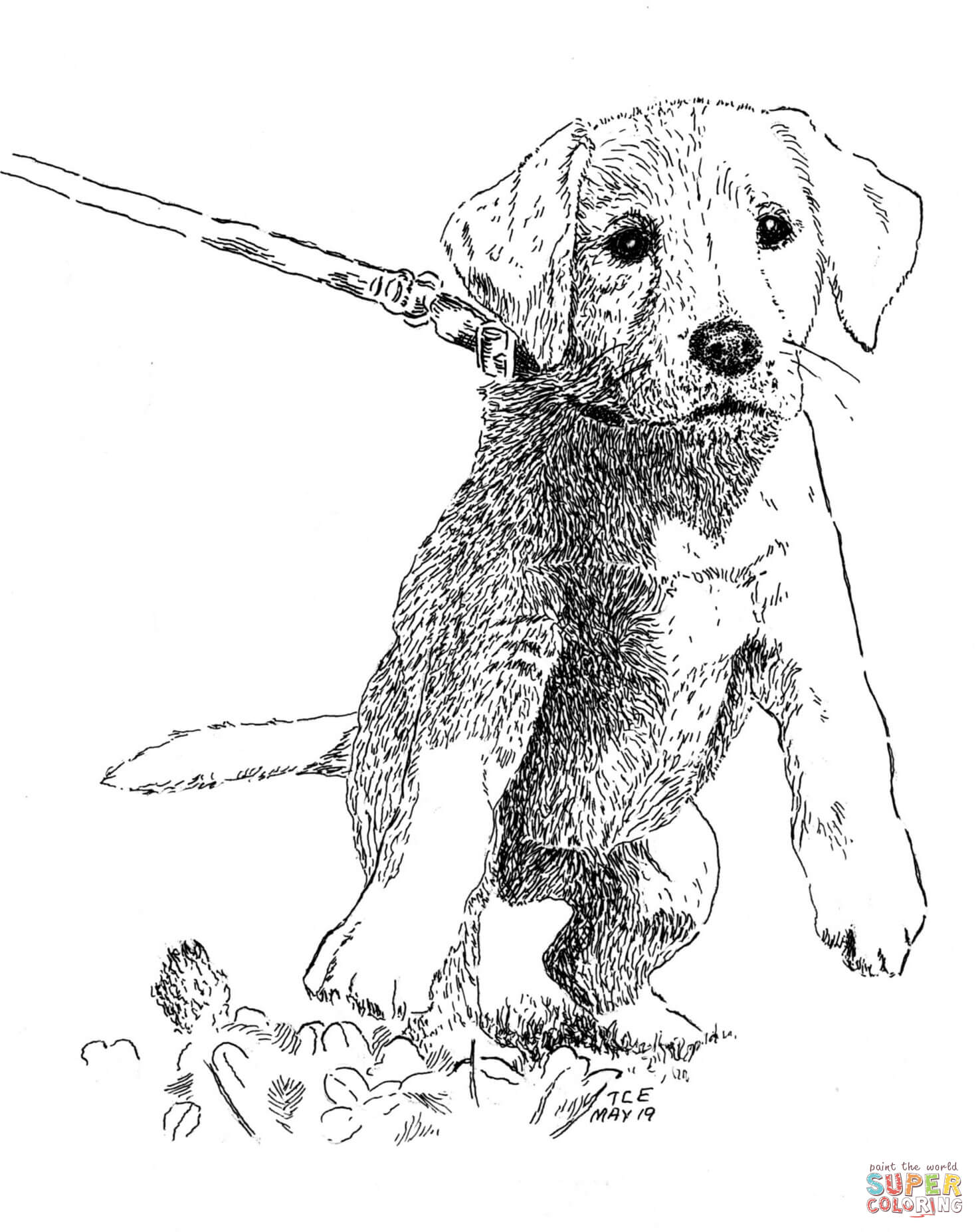 190+ Puppy Dog Coloring Pages Free Printable 72