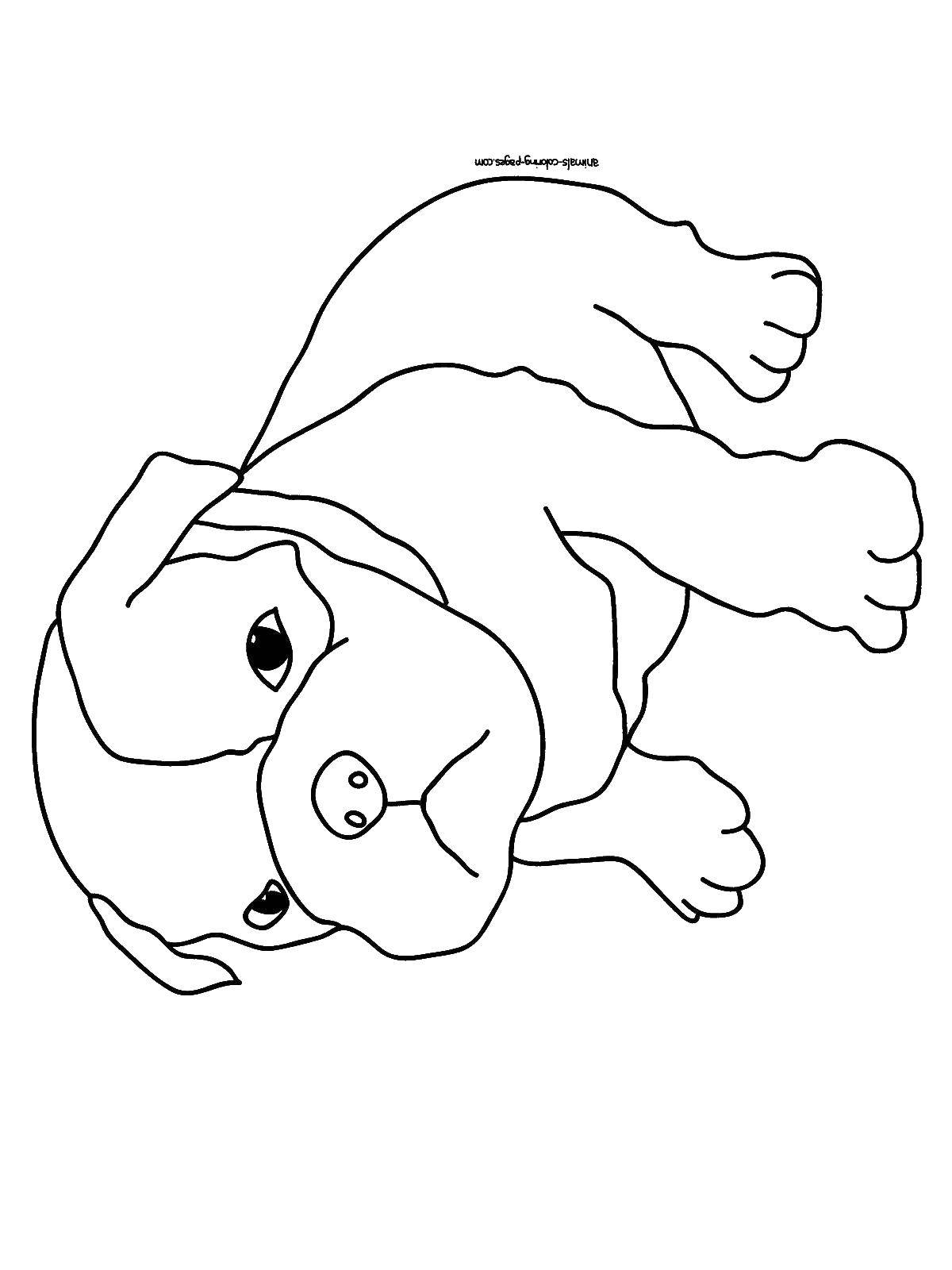 190+ Puppy Dog Coloring Pages Free Printable 81