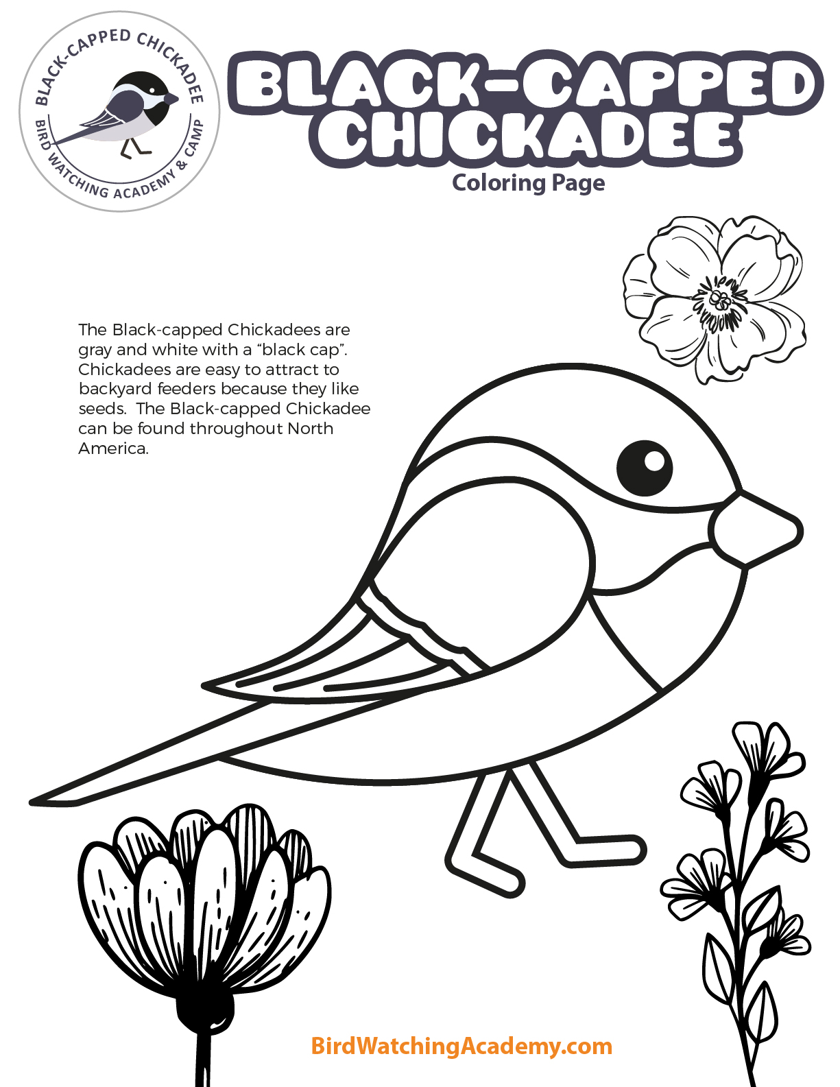 131+ Monthly Coloring Pages Printable 48