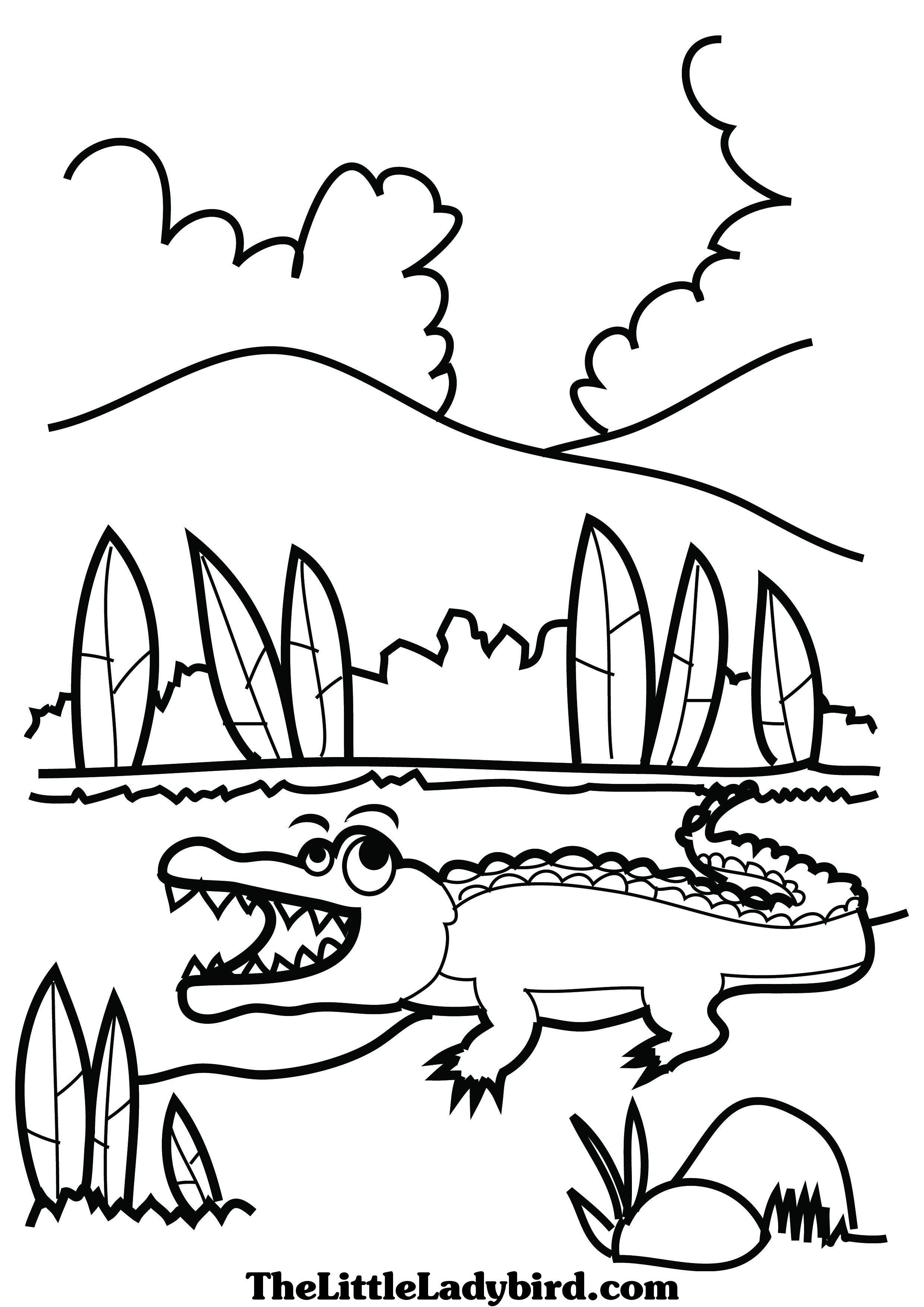 135+ Coloring Pages of Alligators Printable 113