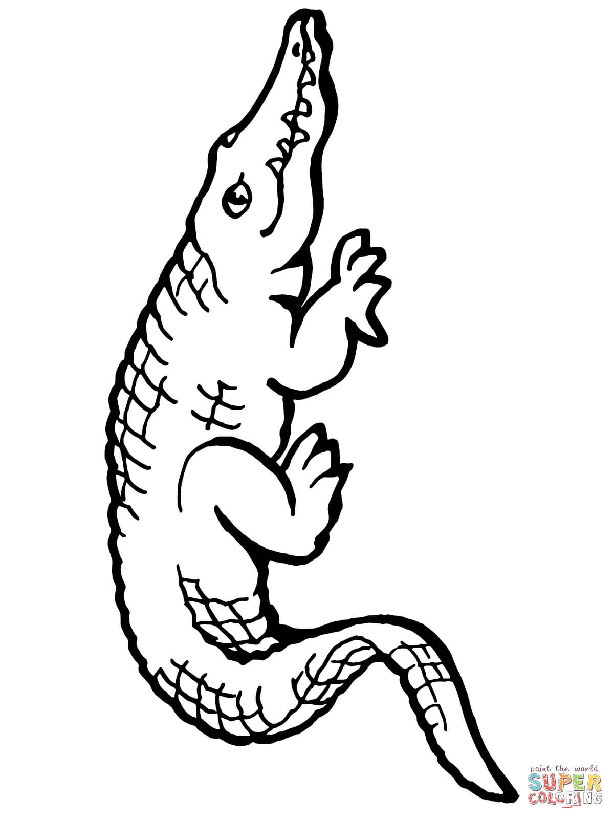 135+ Coloring Pages of Alligators Printable 12