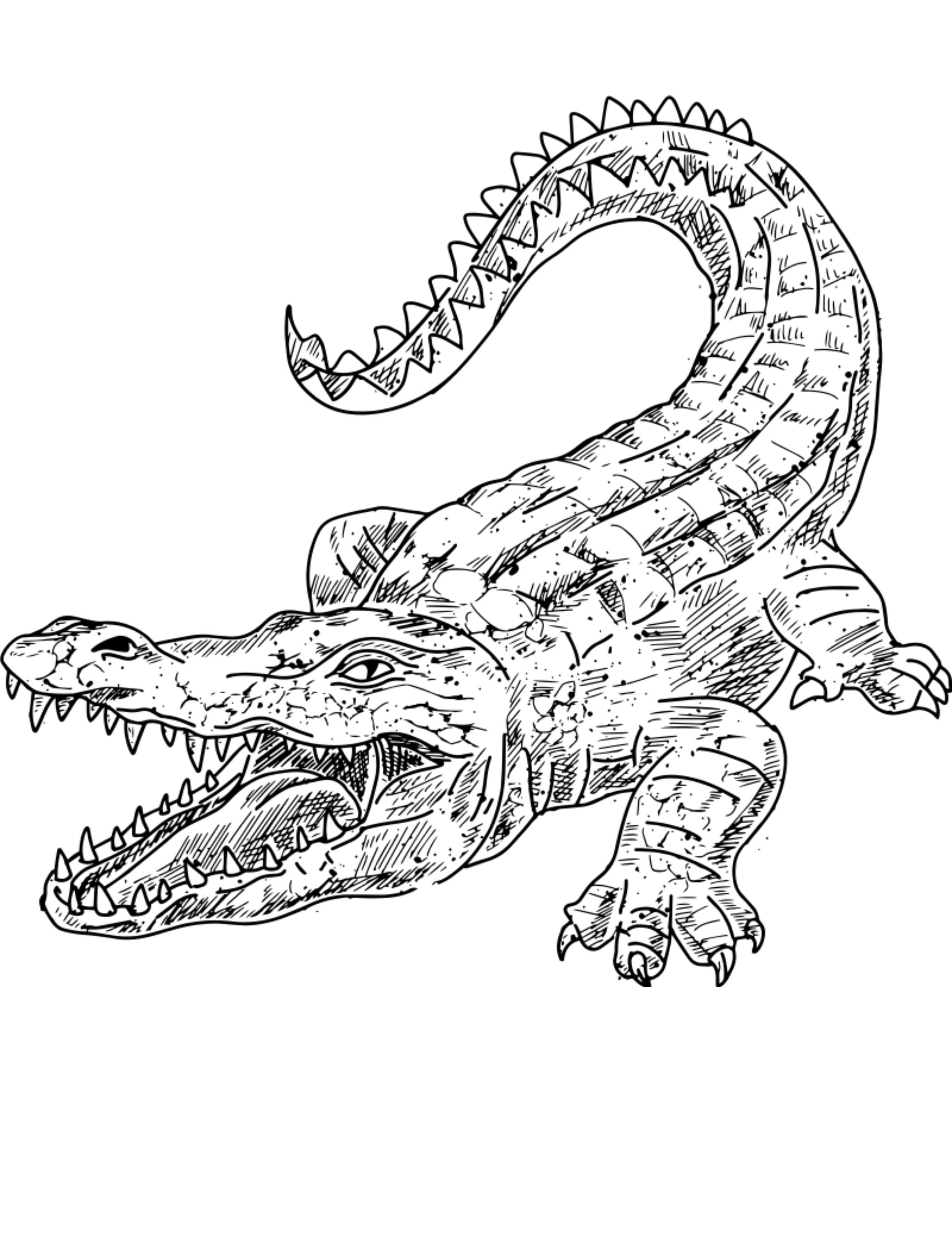 135+ Coloring Pages of Alligators Printable 129