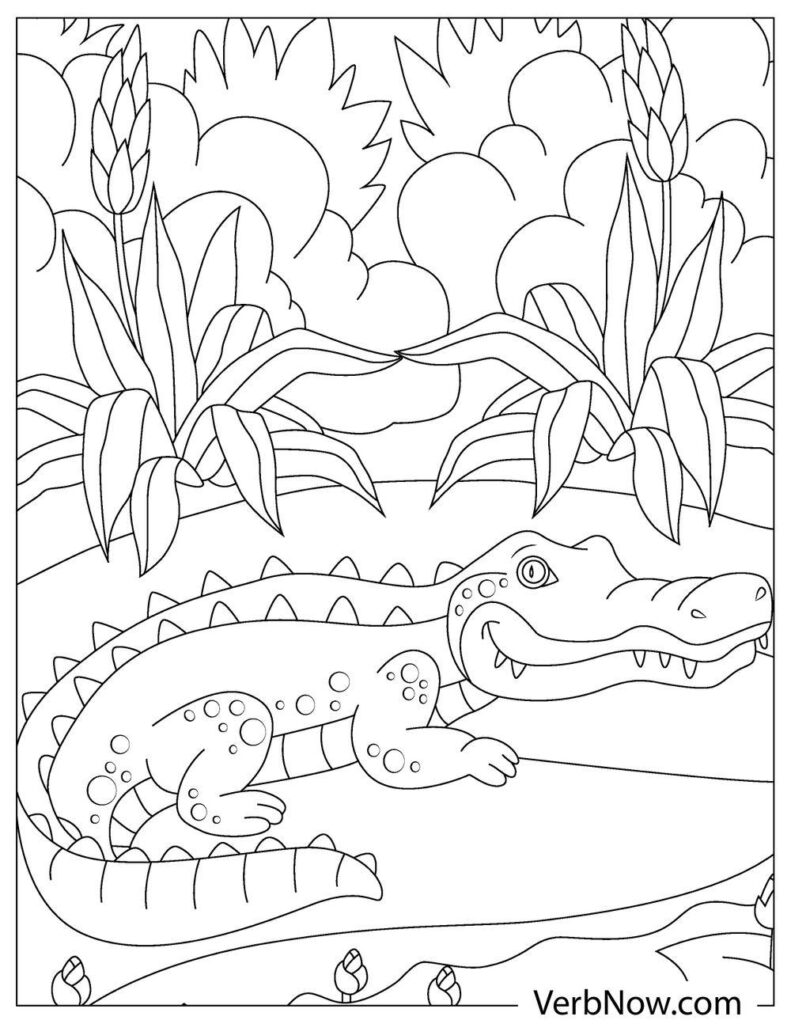 135+ Coloring Pages of Alligators Printable 14