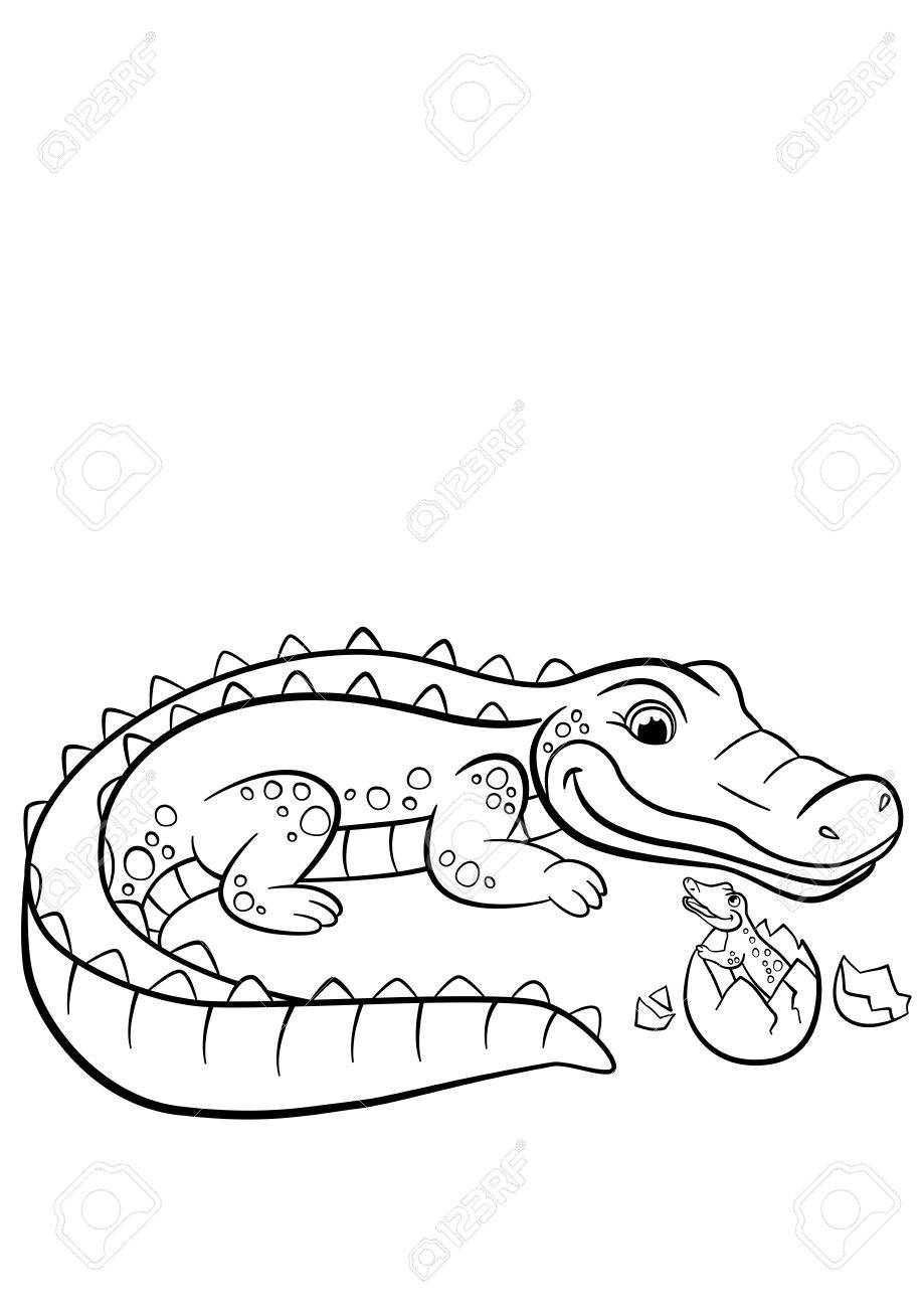 135+ Coloring Pages of Alligators Printable 27