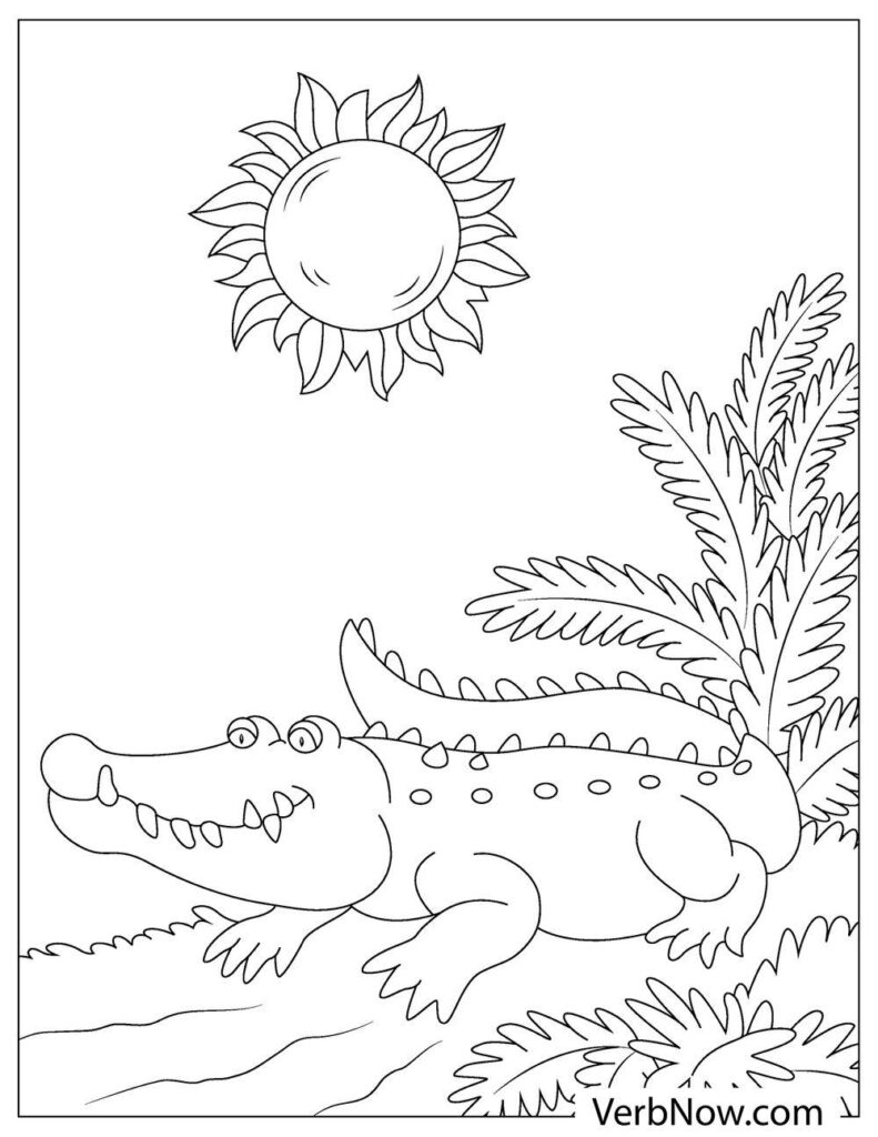 135+ Coloring Pages of Alligators Printable 30