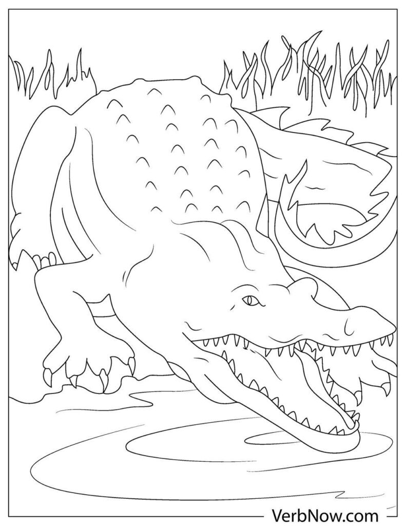 135+ Coloring Pages of Alligators Printable 52