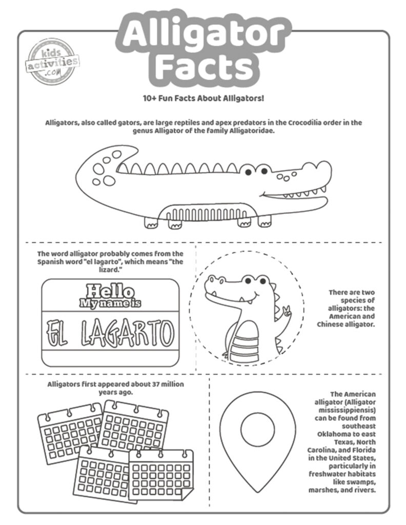 135+ Coloring Pages of Alligators Printable 54