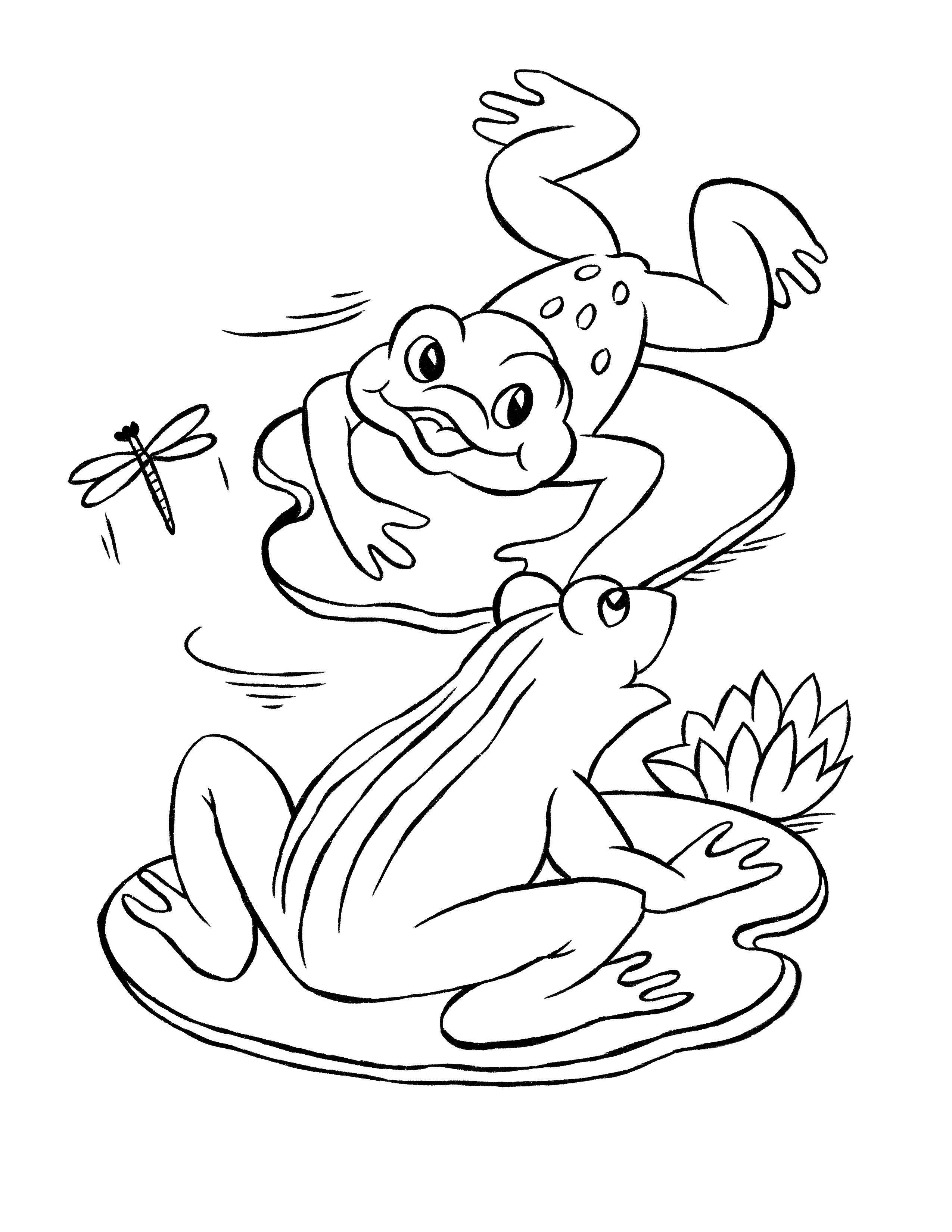 135+ Coloring Pages of Alligators Printable 94